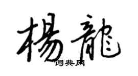 王正良杨龙行书个性签名怎么写