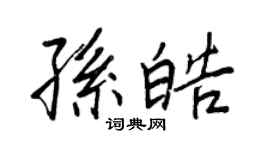 王正良孙皓行书个性签名怎么写