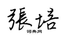 王正良张培行书个性签名怎么写