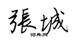 王正良张城行书个性签名怎么写