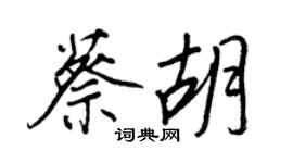 王正良蔡胡行书个性签名怎么写