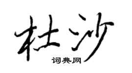 王正良杜沙行书个性签名怎么写