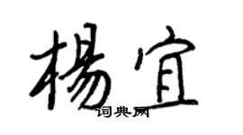 王正良杨宜行书个性签名怎么写