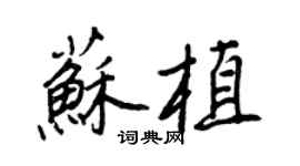 王正良苏植行书个性签名怎么写