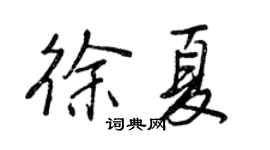 王正良徐夏行书个性签名怎么写