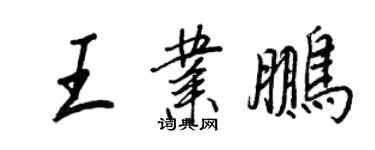 王正良王业鹏行书个性签名怎么写