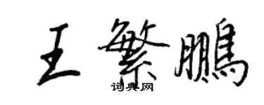 王正良王繁鹏行书个性签名怎么写