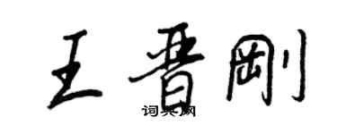 王正良王晋刚行书个性签名怎么写