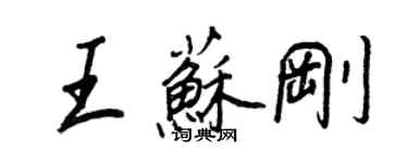 王正良王苏刚行书个性签名怎么写
