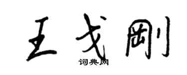 王正良王戈刚行书个性签名怎么写