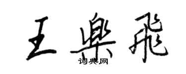 王正良王乐飞行书个性签名怎么写