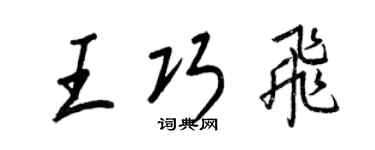 王正良王巧飞行书个性签名怎么写