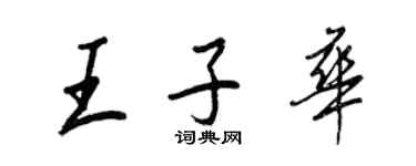 王正良王子华行书个性签名怎么写