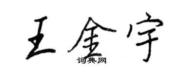 王正良王金宇行书个性签名怎么写