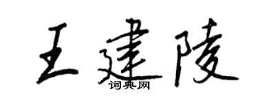 王正良王建陵行书个性签名怎么写