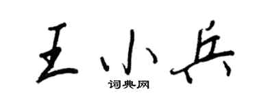 王正良王小兵行书个性签名怎么写