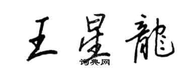 王正良王星龙行书个性签名怎么写
