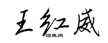 王正良王红威行书个性签名怎么写