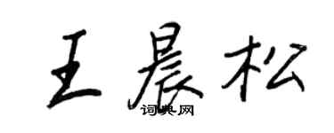 王正良王晨松行书个性签名怎么写