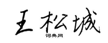 王正良王松城行书个性签名怎么写