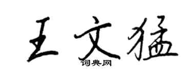 王正良王文猛行书个性签名怎么写