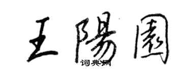 王正良王阳园行书个性签名怎么写