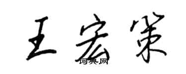 王正良王宏策行书个性签名怎么写