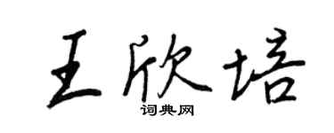 王正良王欣培行书个性签名怎么写
