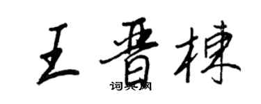 王正良王晋栋行书个性签名怎么写