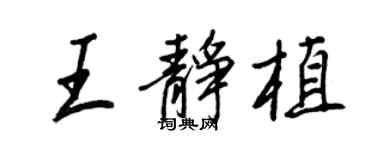 王正良王静植行书个性签名怎么写