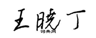 王正良王晓丁行书个性签名怎么写