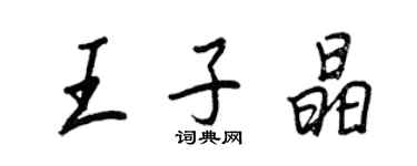 王正良王子晶行书个性签名怎么写