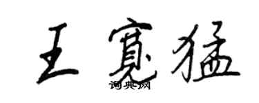 王正良王宽猛行书个性签名怎么写