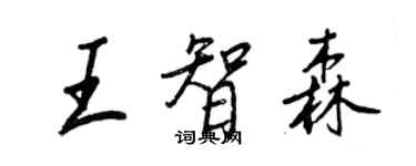 王正良王智森行书个性签名怎么写