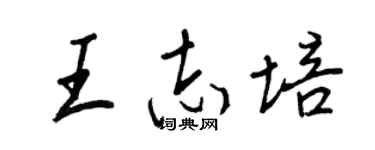 王正良王志培行书个性签名怎么写