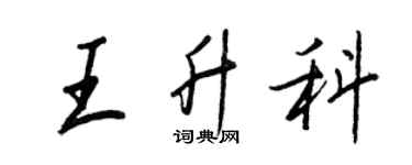 王正良王升科行书个性签名怎么写