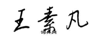 王正良王素凡行书个性签名怎么写