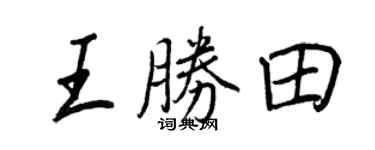 王正良王胜田行书个性签名怎么写