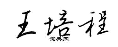 王正良王培程行书个性签名怎么写
