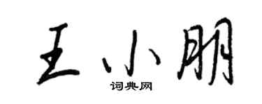 王正良王小朋行书个性签名怎么写
