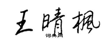 王正良王晴枫行书个性签名怎么写