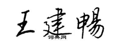 王正良王建畅行书个性签名怎么写