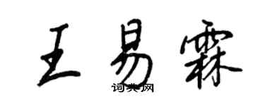 王正良王易霖行书个性签名怎么写