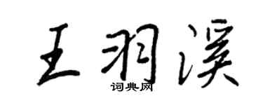 王正良王羽溪行书个性签名怎么写