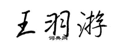 王正良王羽游行书个性签名怎么写