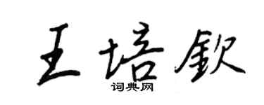 王正良王培钦行书个性签名怎么写