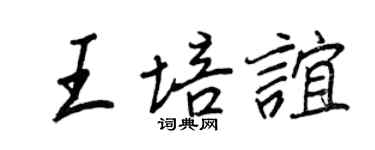 王正良王培谊行书个性签名怎么写