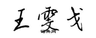 王正良王雯戈行书个性签名怎么写
