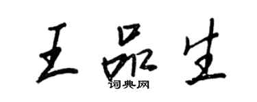 王正良王品生行书个性签名怎么写
