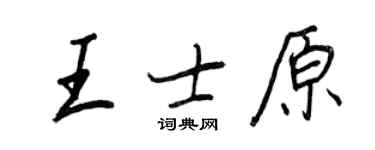 王正良王士原行书个性签名怎么写